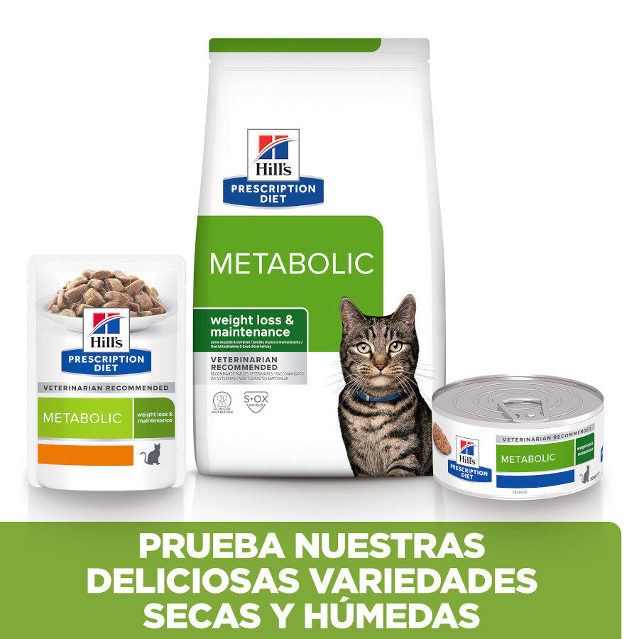 82 g Hill's Prescription Diet Metabolic Estofado de Pollo y Vegetales lata para gatos, , large Imagen numero 6